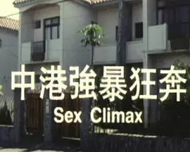 中港强暴狂奔海报