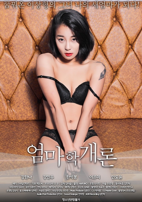 妈妈的理论海报