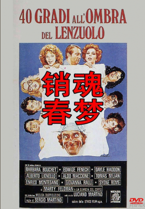 销魂春梦海报