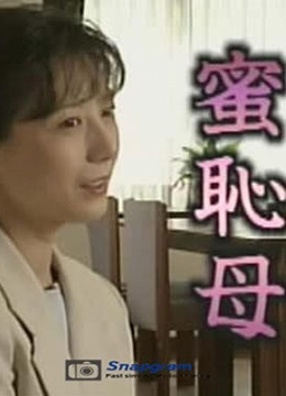 蜜恥母海报