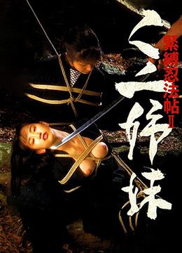 紧缚忍法帖2：女忍者姐妹海报