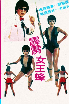 霹雳女王蜂海报