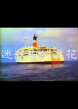迷航中的浪花海报