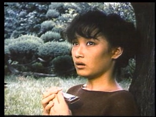 变色的青春海报
