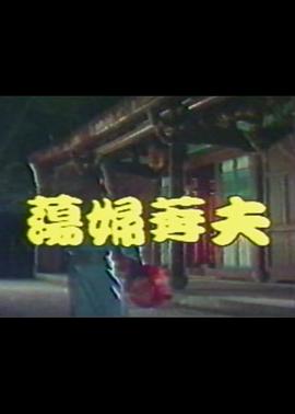 荡妇夺夫海报