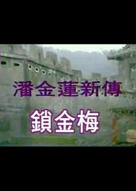锁金梅海报