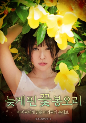晚开的花蕾海报