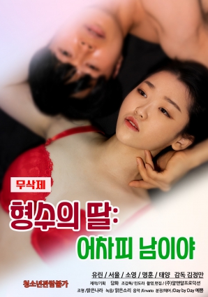 姐夫的女儿：反正是陌生人海报
