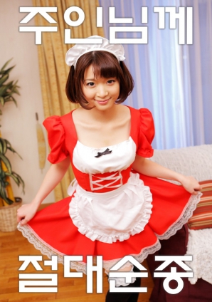 绝对服从主人海报