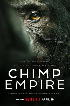 黑猩猩帝国海报