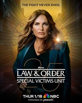 法律与秩序：特殊受害者 第二十五季海报