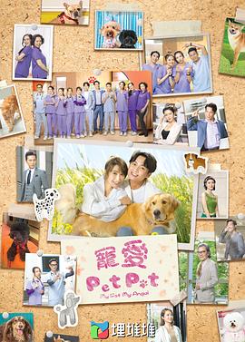 宠爱PetPet(粤语)海报