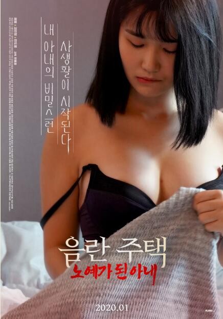 淫室奴妻海报