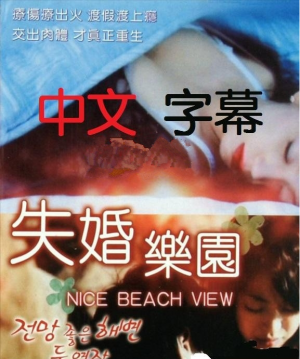 失婚乐园海报