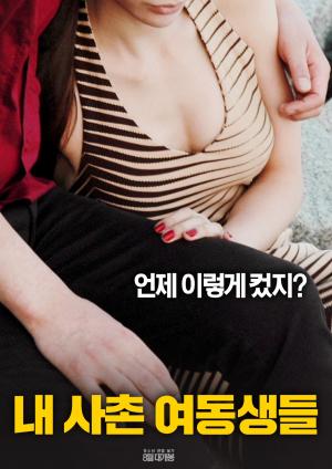 我的远房表妹海报