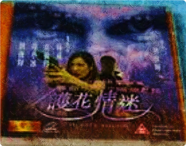 护花情迷海报