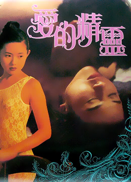 爱的精灵海报