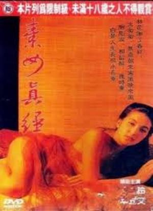 素女真经海报