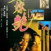 双姝艳海报