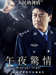 午夜惊情2017海报