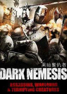 黑暗复仇者海报
