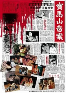 迷途与惩罚海报
