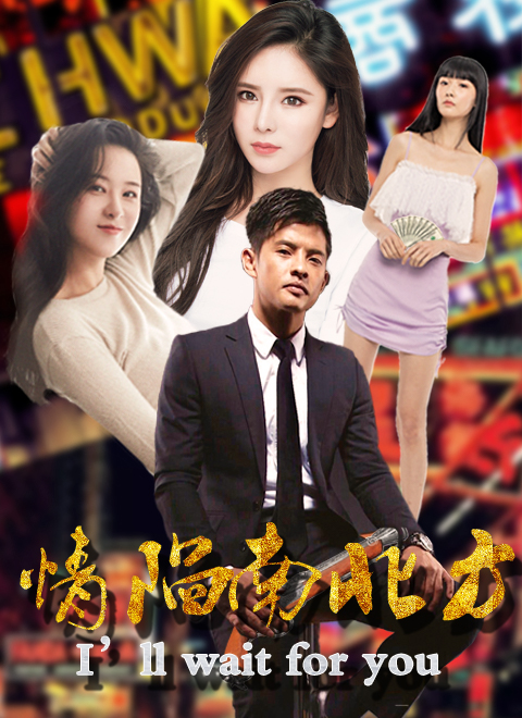 情陷南北方海报