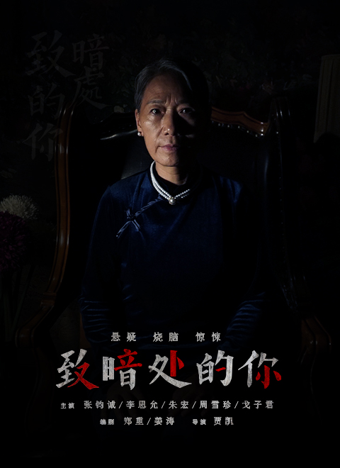 致暗处的你海报