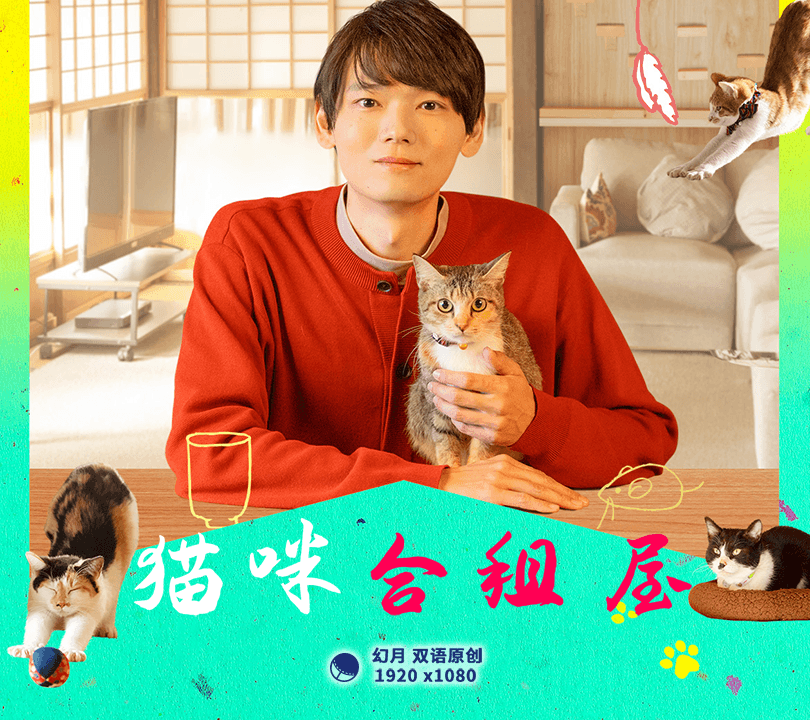 猫咪合租屋海报
