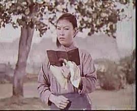 游乡海报