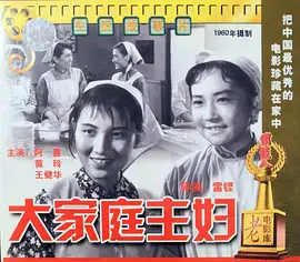 大家庭的主妇海报