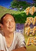 特别村民海报