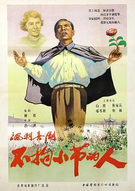 不拘小节的人海报