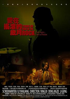 爱在摇滚的岁月海报