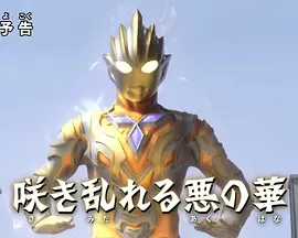 特利迦奥特曼 特别总集篇③ 姹紫嫣红的恶之华海报