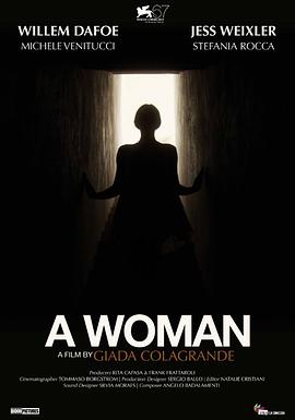 一个女人2010海报