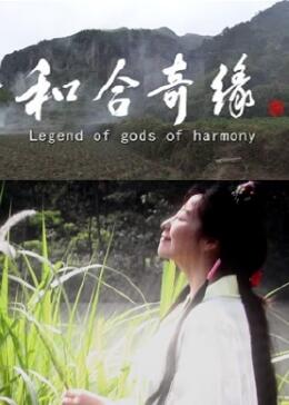 和合奇缘海报