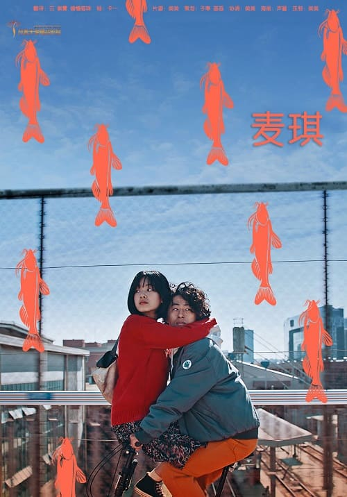 麦琪海报