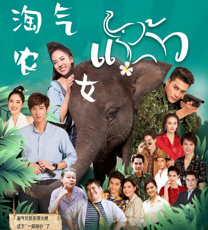 淘气农女海报