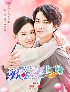 Boss爱上鸟海报