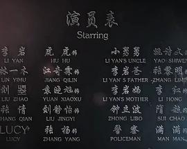 灵魂错位海报