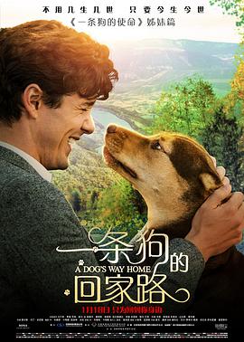 一条狗的回家路国语海报