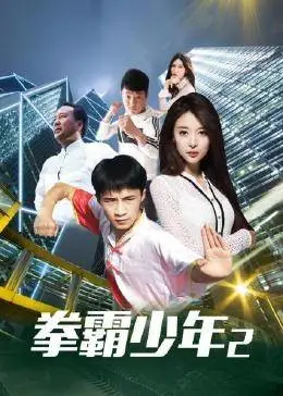 拳霸少年2海报