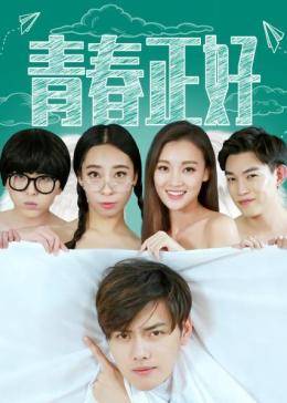 青春正好海报