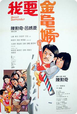 我要金龟婿国语海报