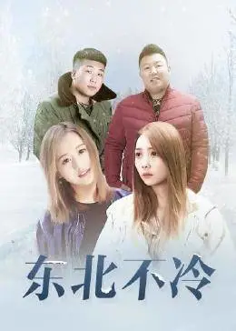东北不冷海报
