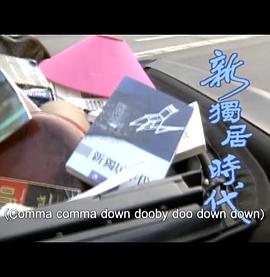 新独居时代海报
