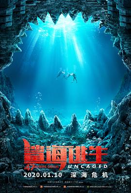 鲨海逃生2019海报