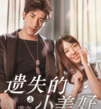 遗失的小美好之谎言海报