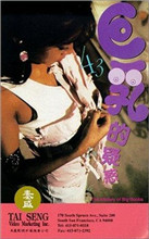 巨乳的疑惑海报